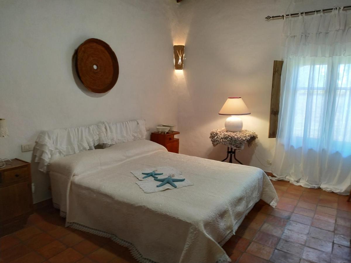 Apartment Domus Antiga