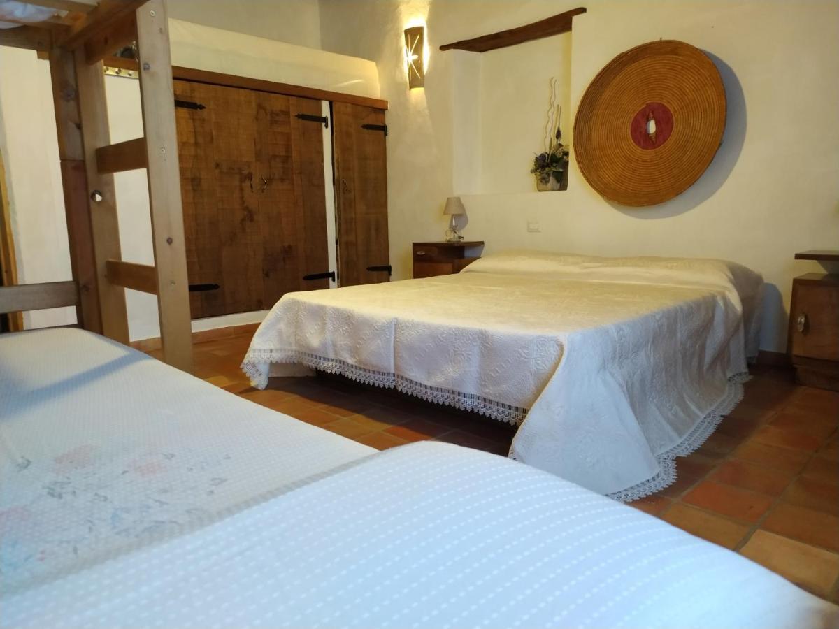 Domus Antiga Apartment