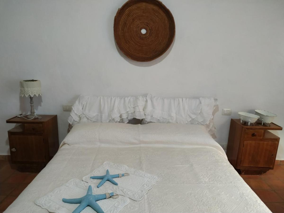 Apartment Domus Antiga