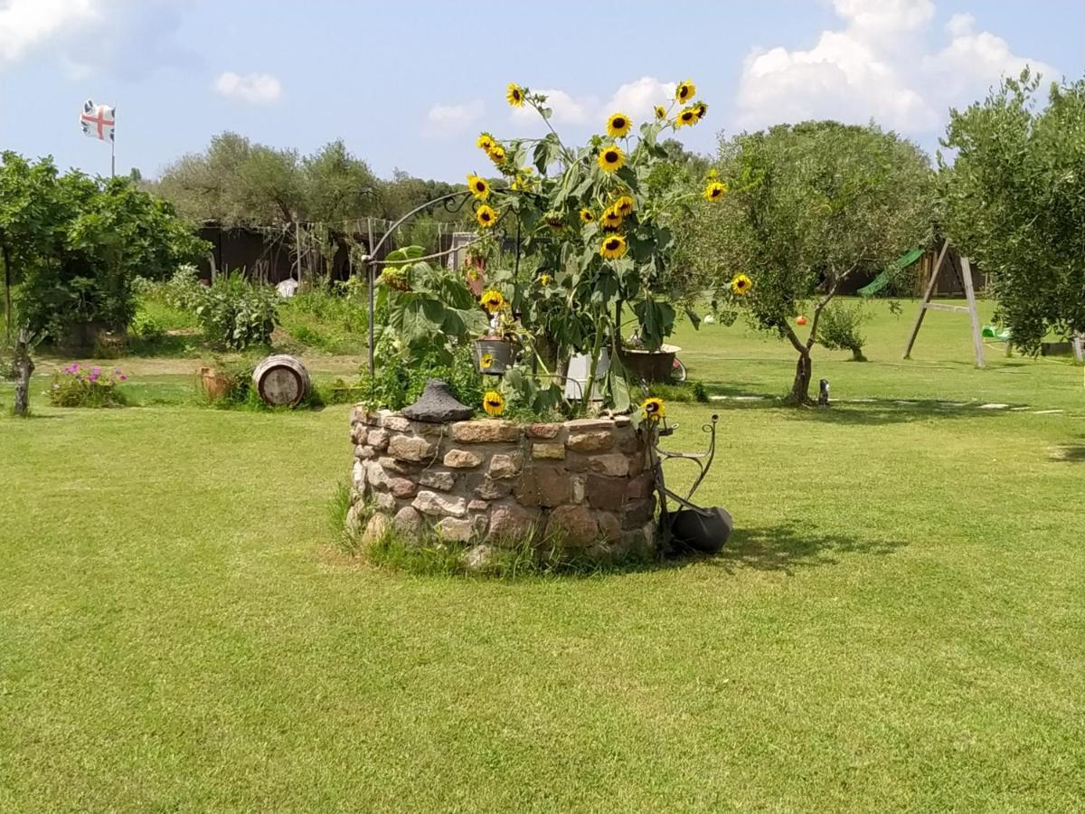 Apartment Domus Antiga