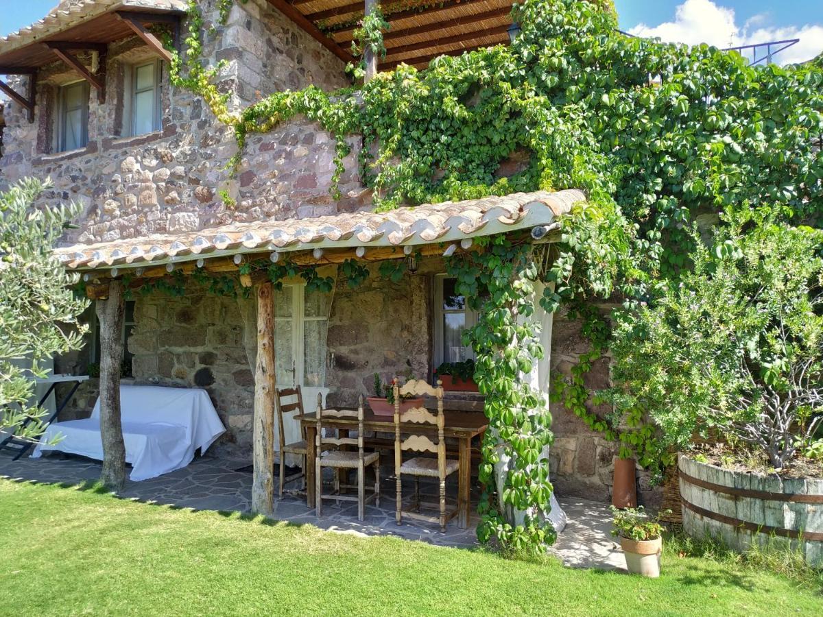 Domus Antiga Apartment