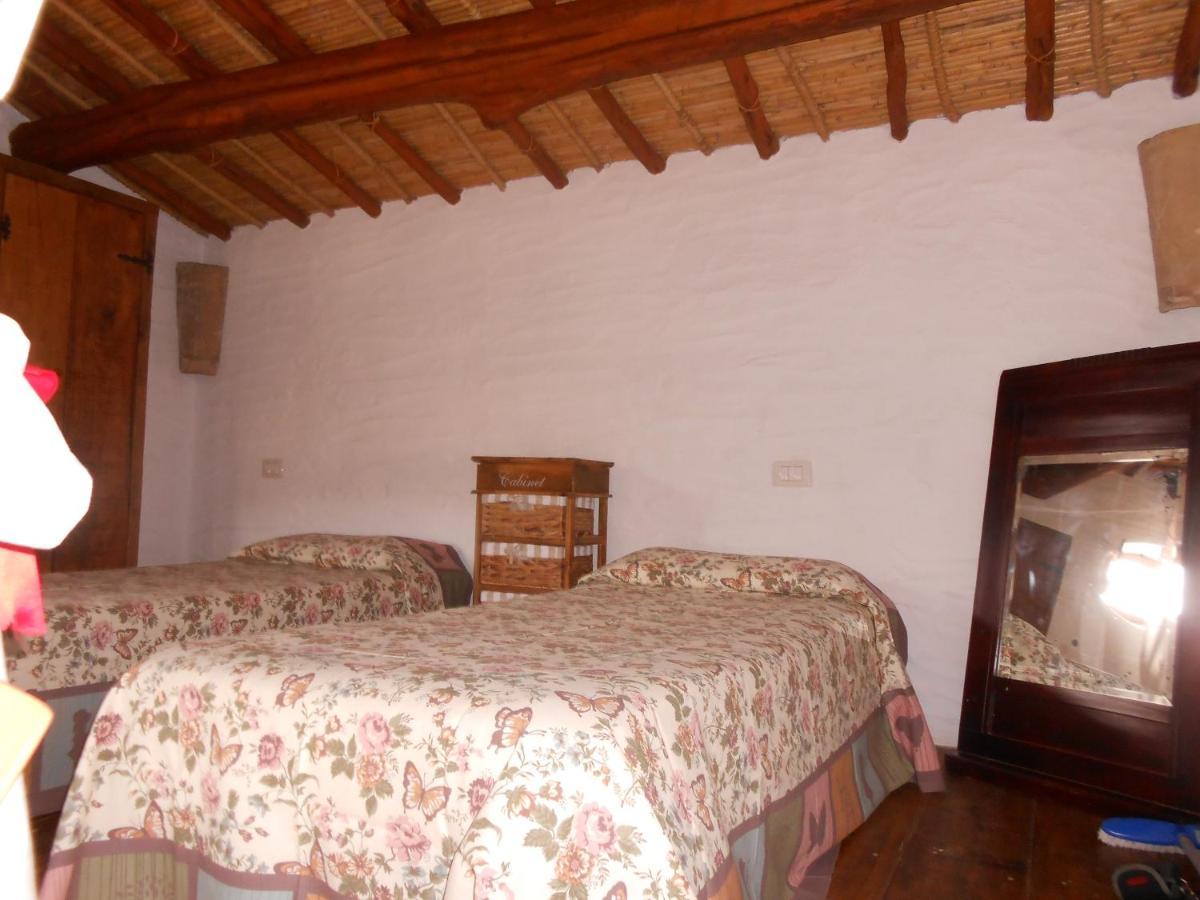 Apartment Domus Antiga *