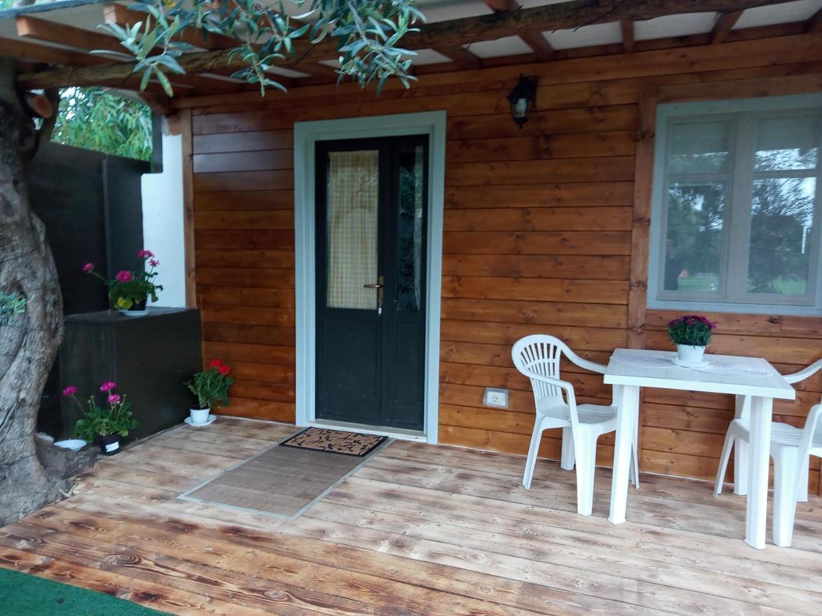Domus Antiga Apartment *