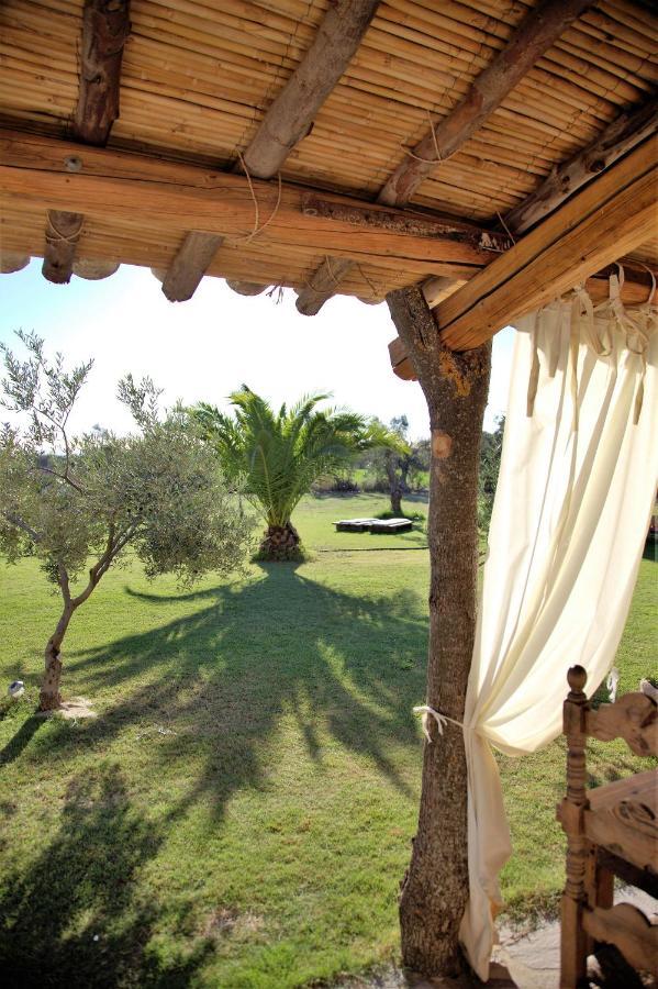 Domus Antiga Apartment