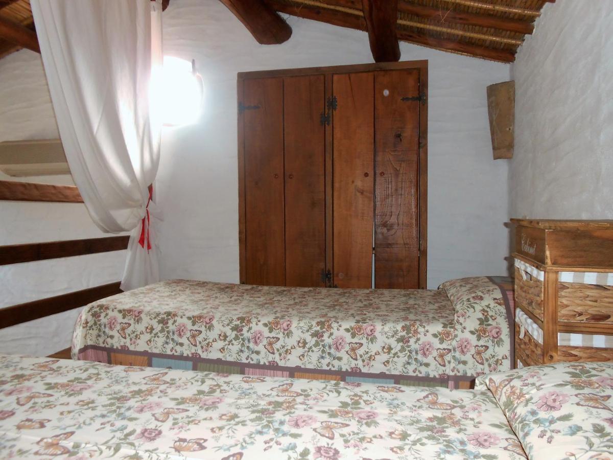 Apartment Domus Antiga *