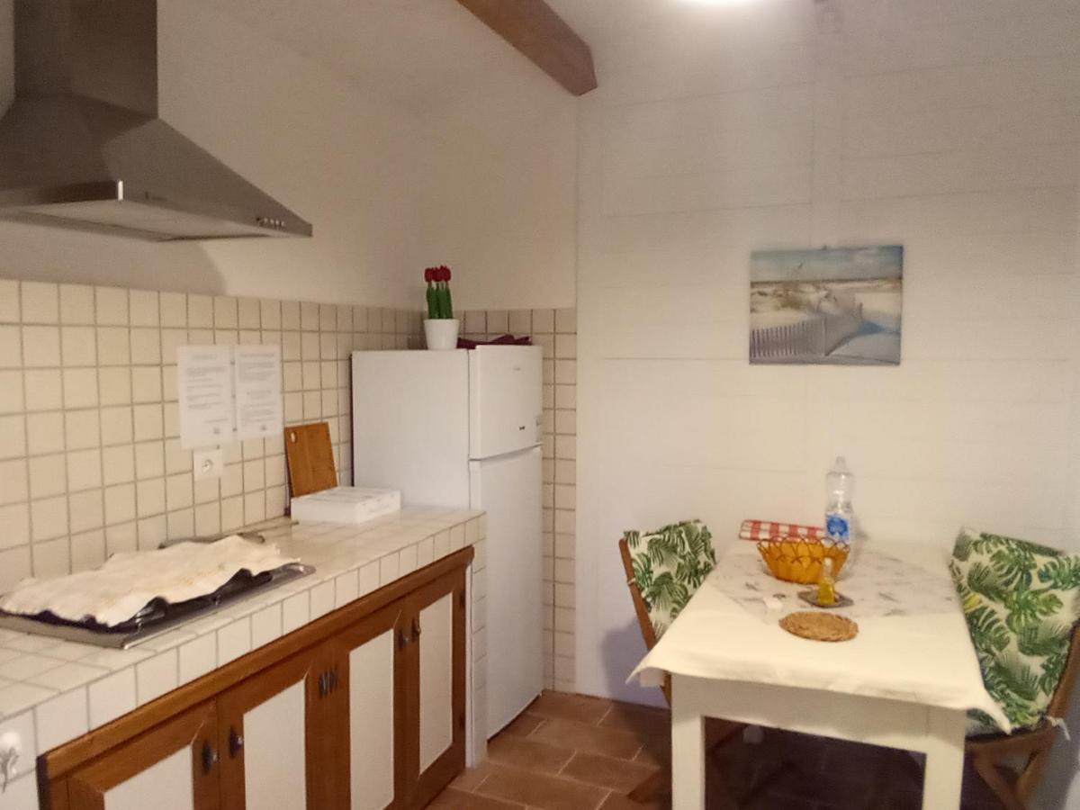 Apartment Domus Antiga *