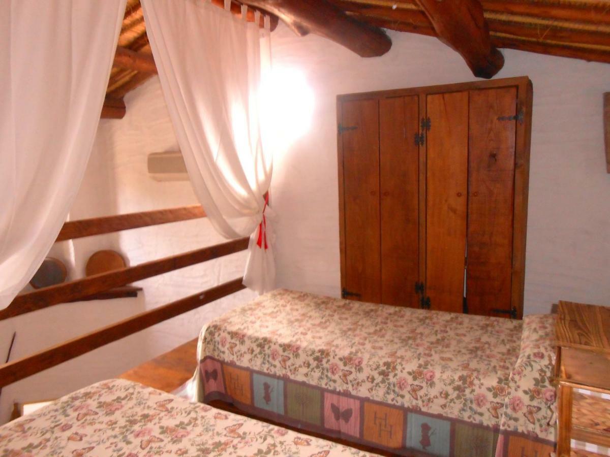 Apartment Domus Antiga