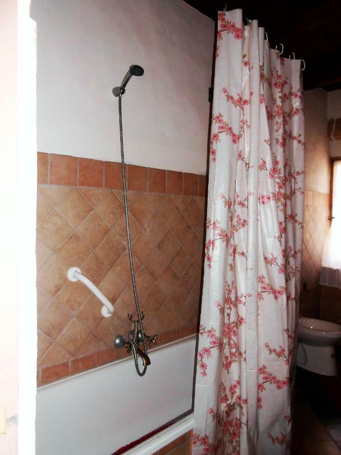 Apartment Domus Antiga