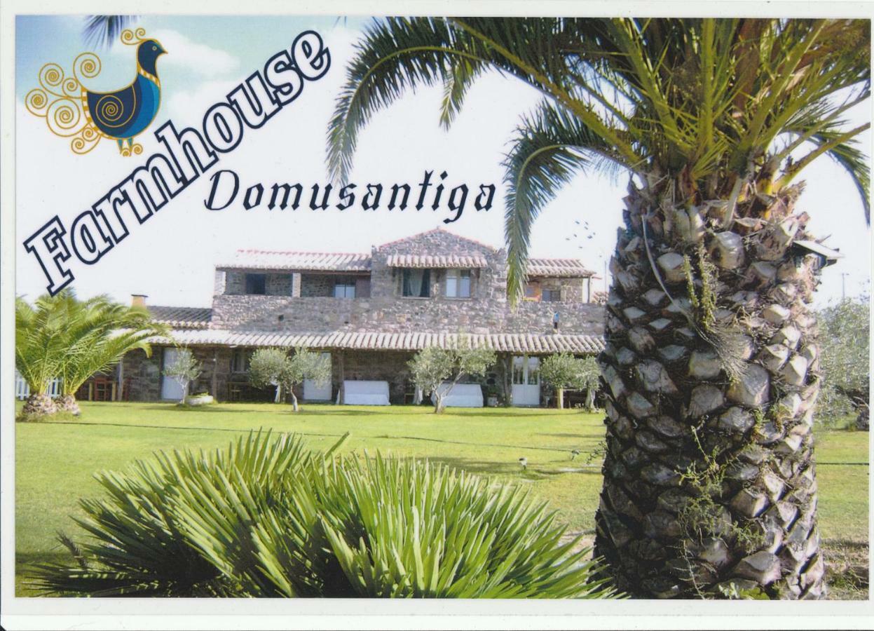 Apartment Domus Antiga *
